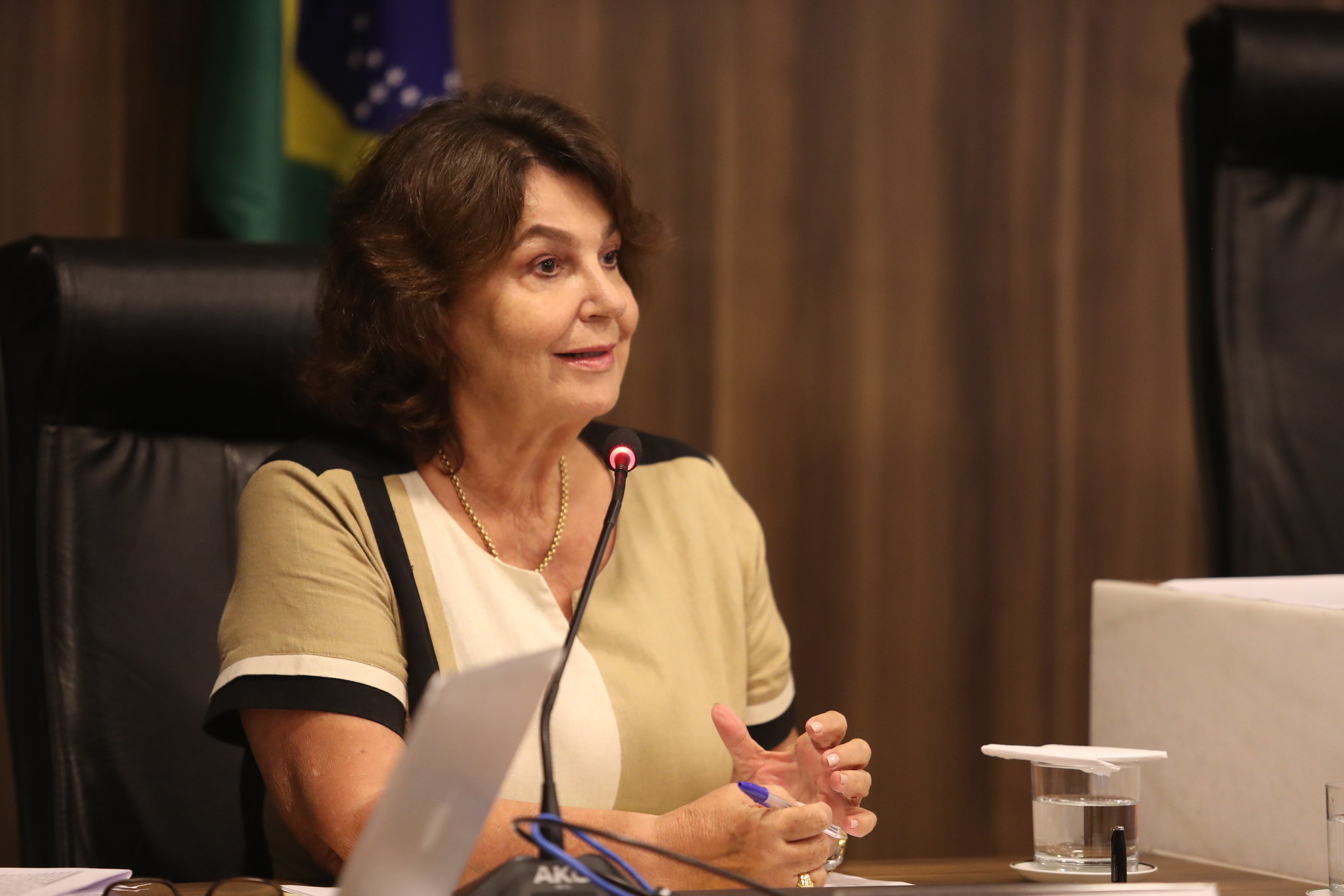 Projeto que concede título de cidadã benemérita do Paraná à atriz Denise Stoklos avança na CCJ