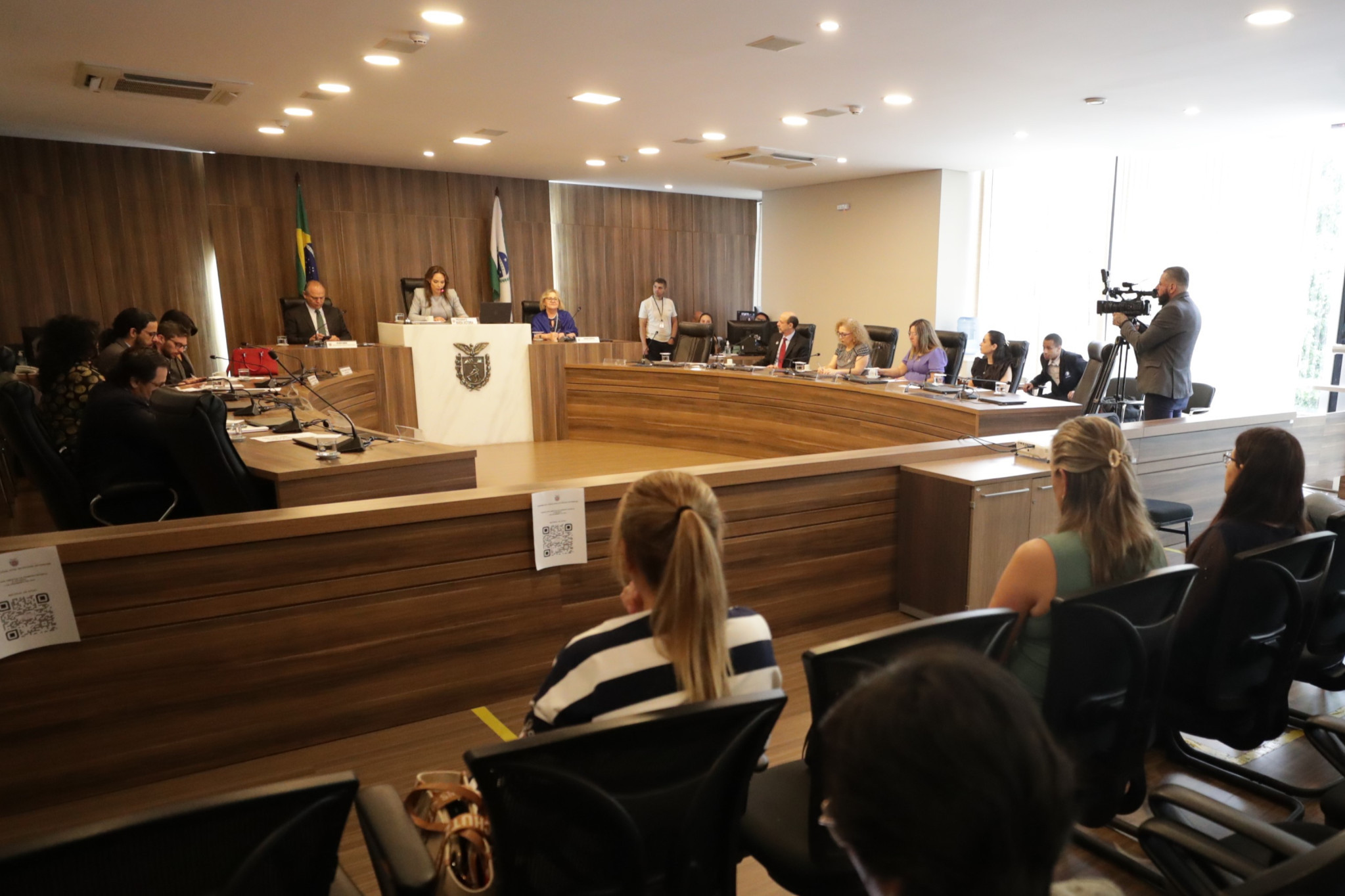Assembleia debate desafios dos municípios na gestão de políticas públicas voltadas à primeira infância