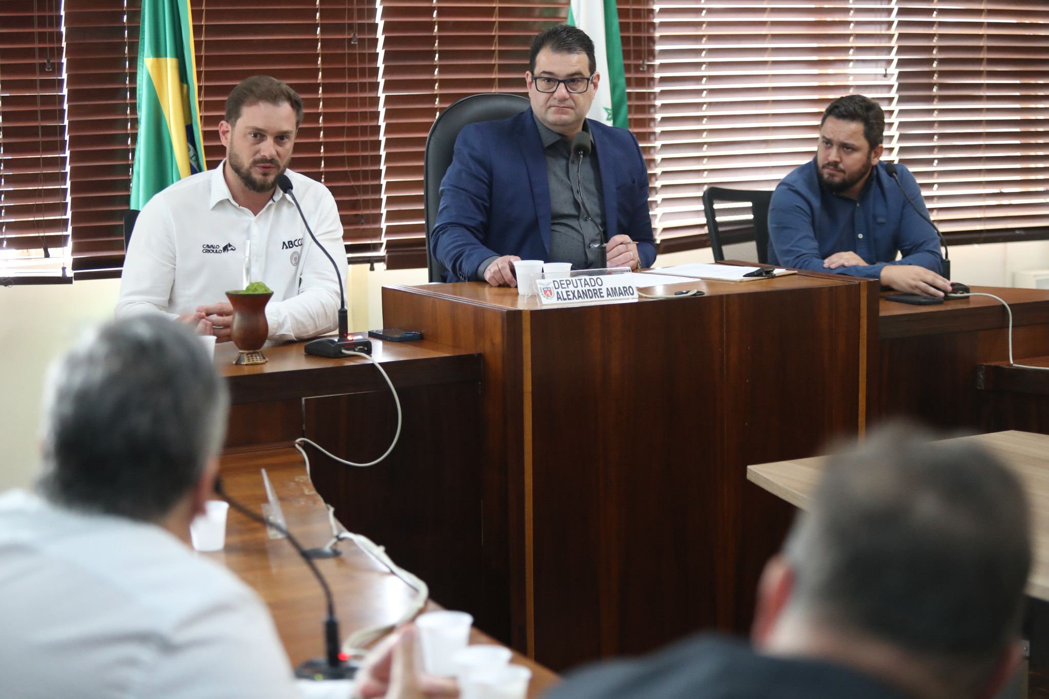 Especialistas e criadores se reúnem na Assembleia para tratar da expansão do cavalo crioulo no Paraná