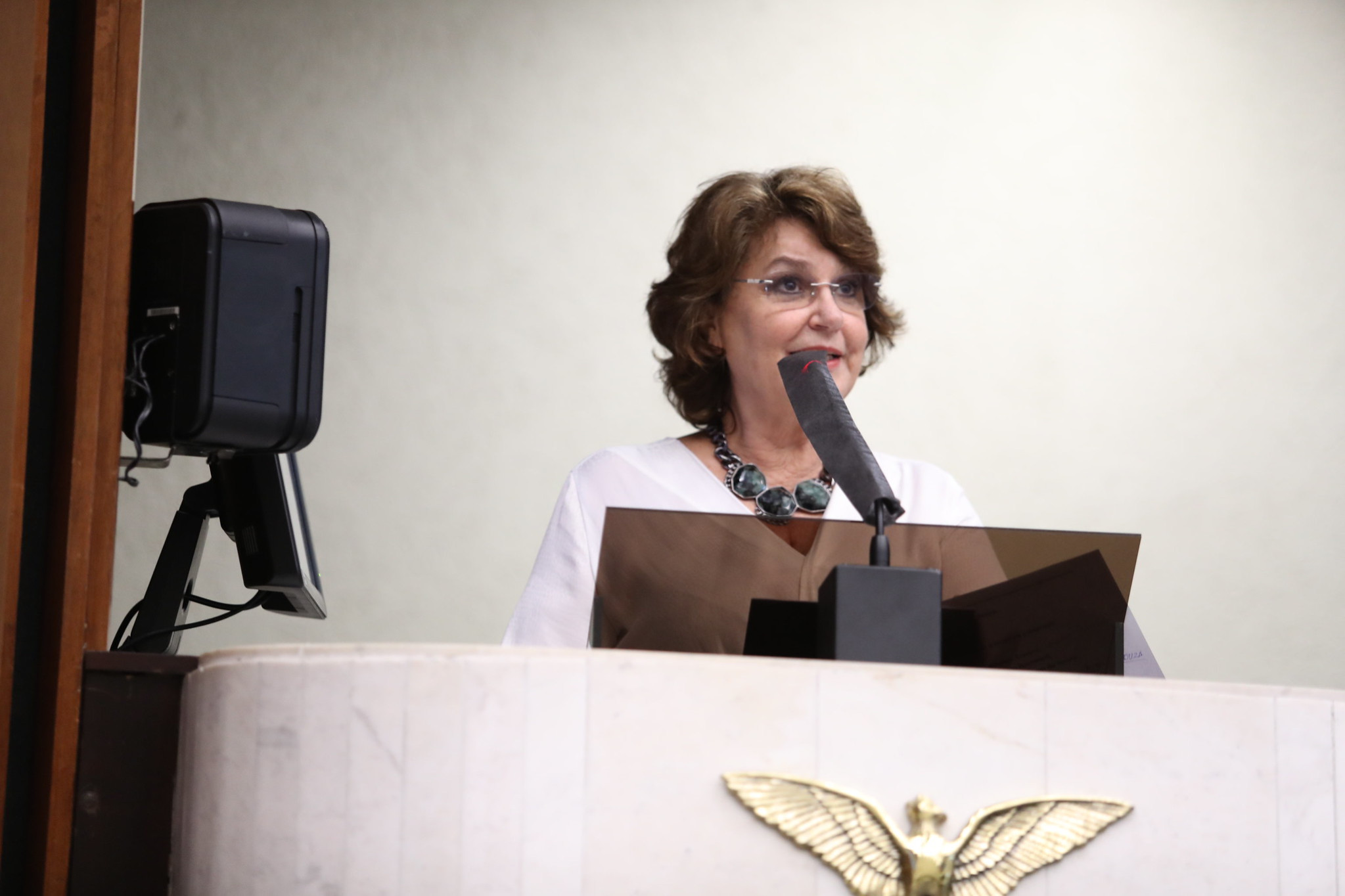 Assembleia Legislativa debate a violência contra a mulher na política