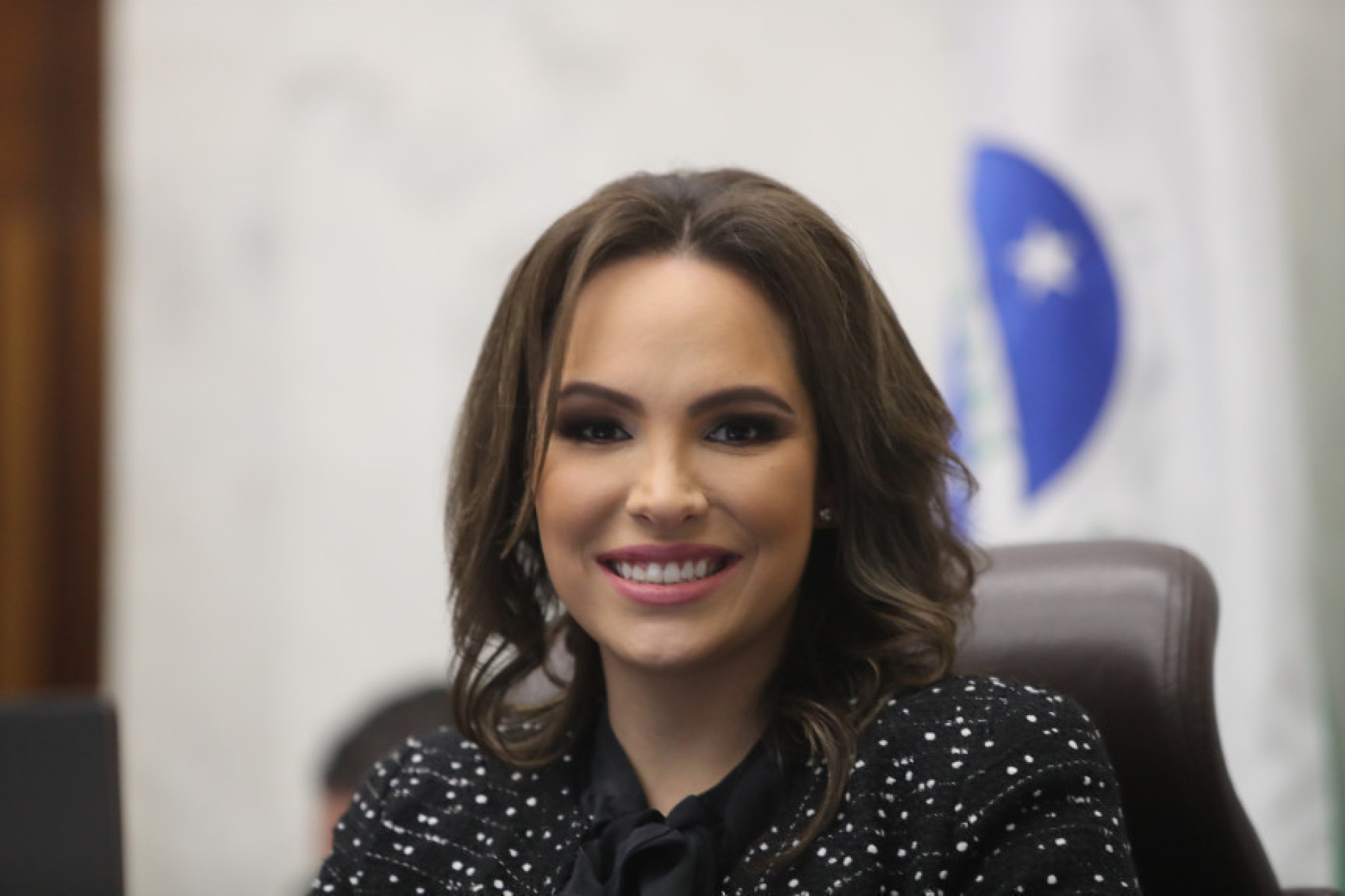 Assembleia Legislativa inclui Araucária na Rota Turística da Lavanda