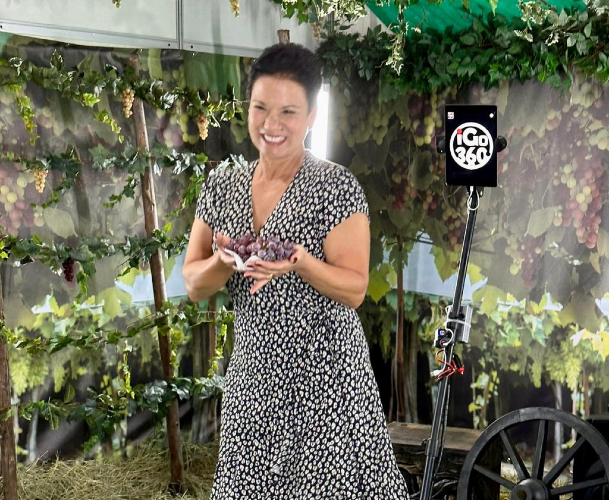 Deputada Marli Paulino (SD) protocola projeto de lei para tornar a Festa da Uva de Colombo evento oficial do Paraná