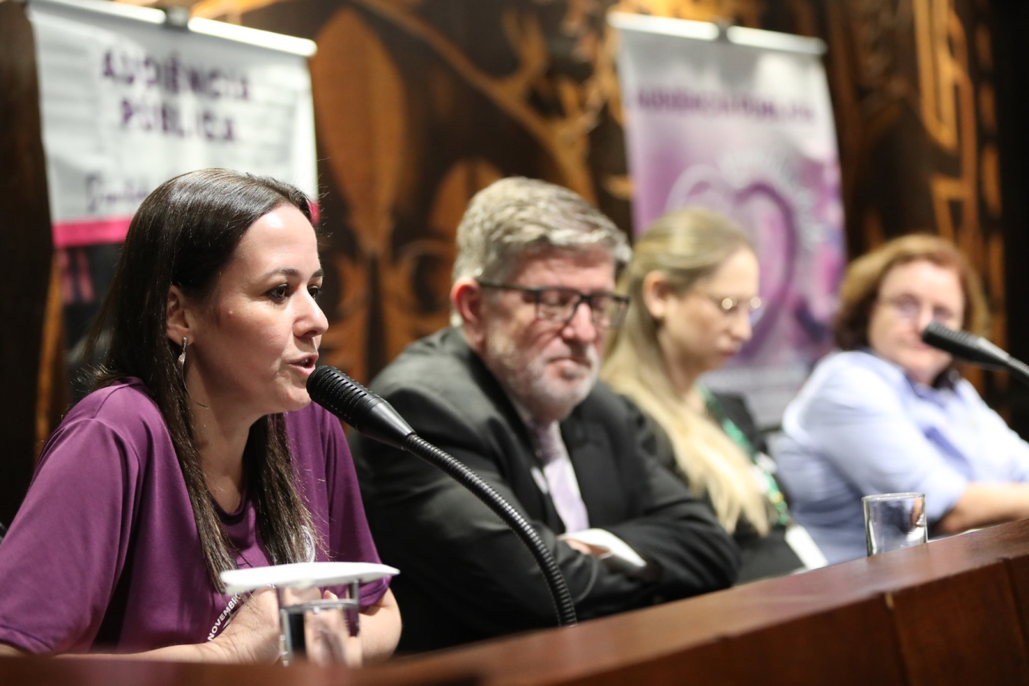 Audiência pública mostrou impacto da prematuridade na saúde e no sistema de atendimento