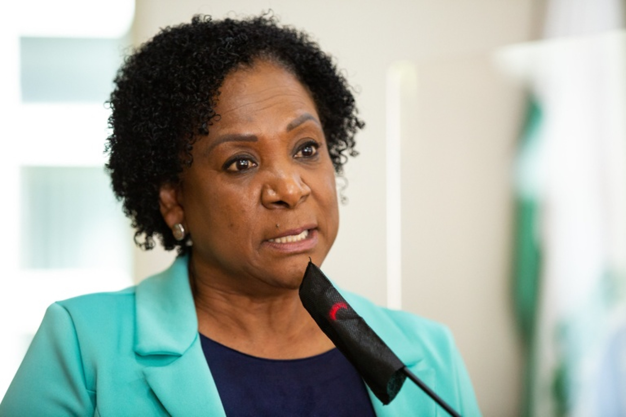 Deputada Luciana Rafagnin (PT) propõe voto de congratulações à jornalista Dulcineia Novaes