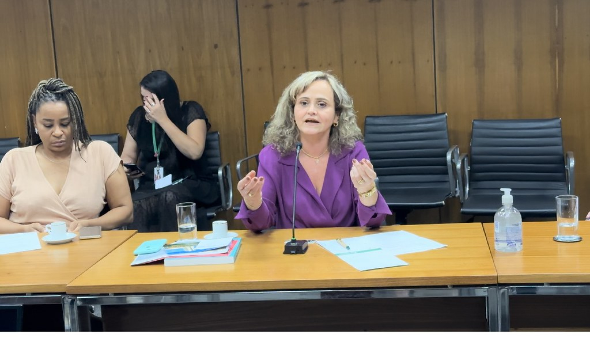 Diretora da Assembleia toma posse no Conselho Consultivo de Comunicação da Câmara dos Deputados