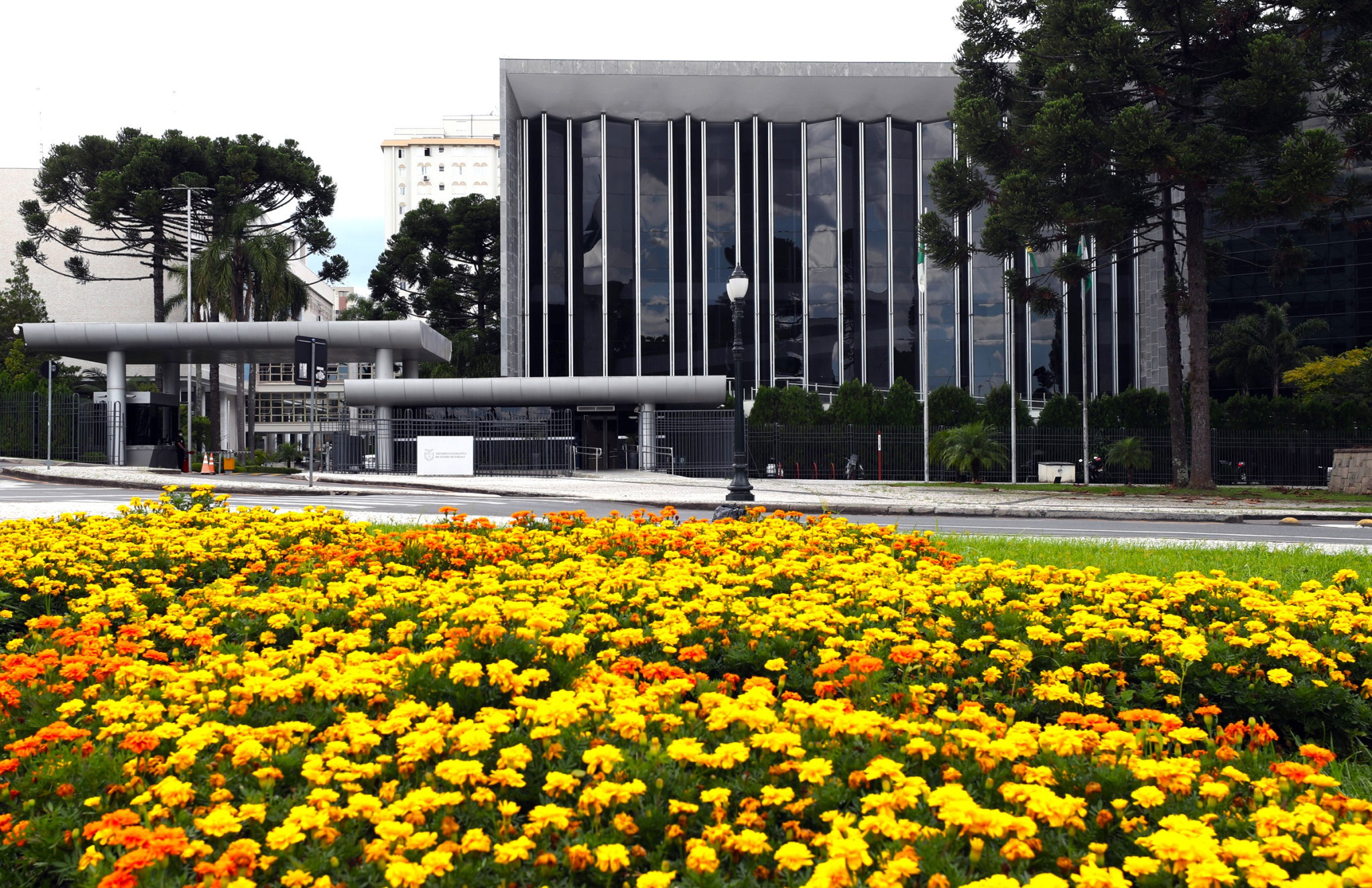 Homenagem a atletas e paratletas olímpicos e análise do PPA são destaques na agenda da Assembleia