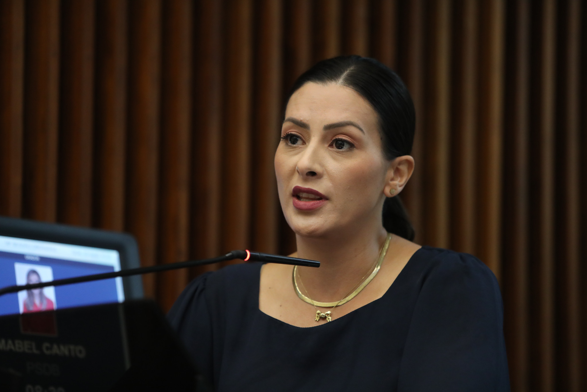 Bancada Feminina exalta recursos da Casa destinados ao Fundo Estadual da Mulher