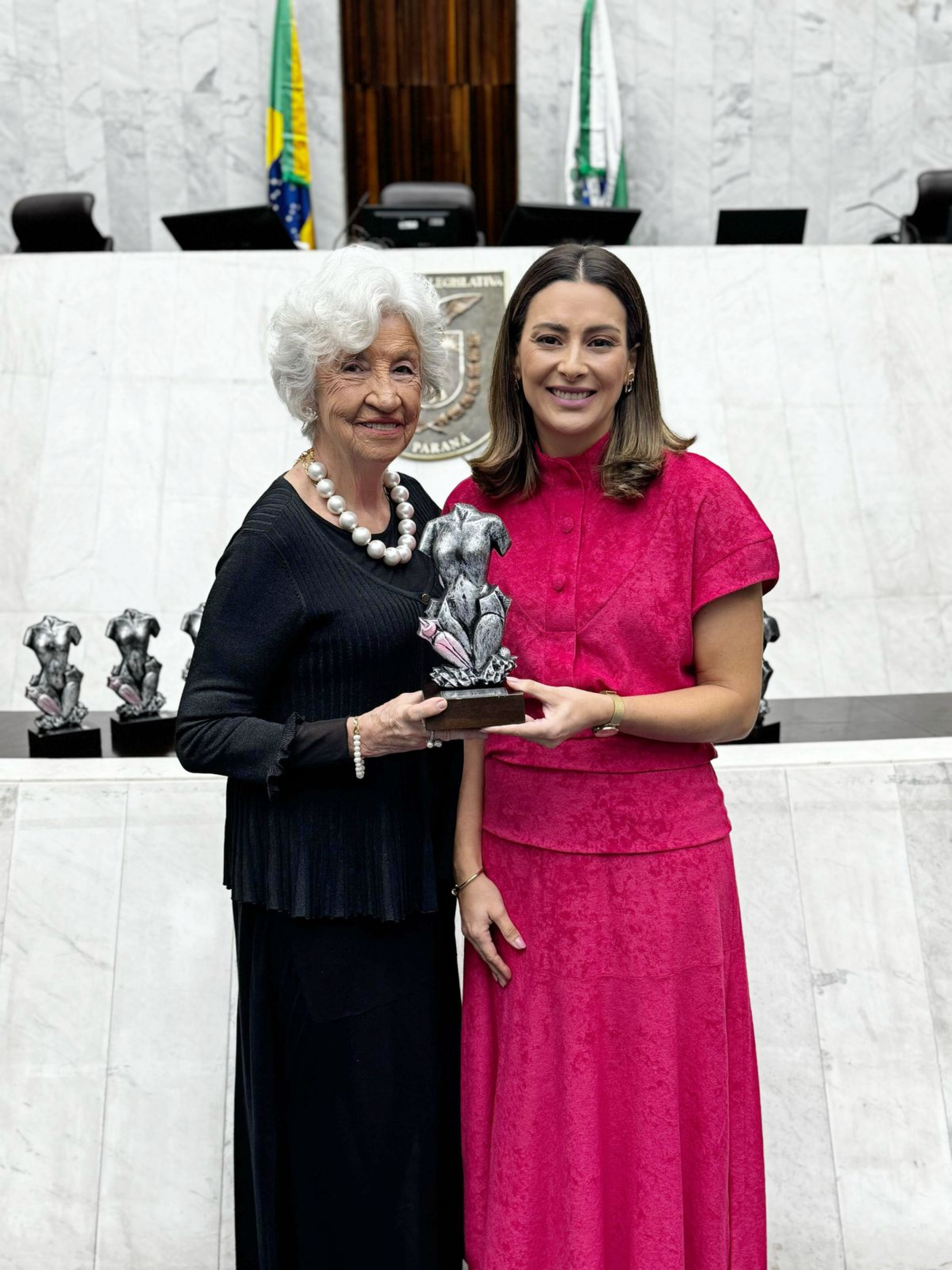 Deputada Mabel Canto (PSDB) entrega Prêmio Rosy de Macedo a Neuza Mansani