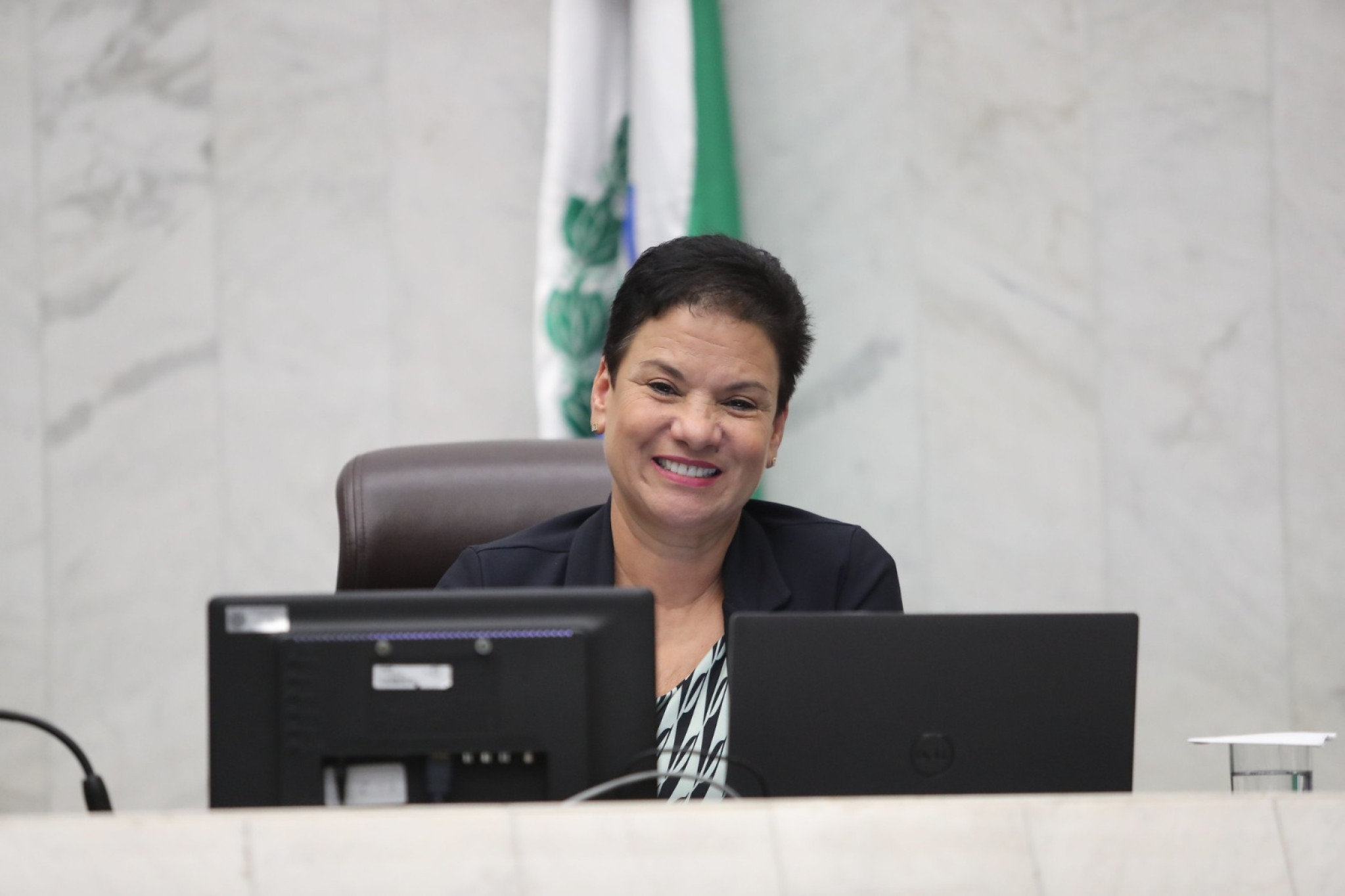 Projeto de lei da Deputada Marli Paulino (SD) institui a Semana Estadual do Artesanato no Paraná