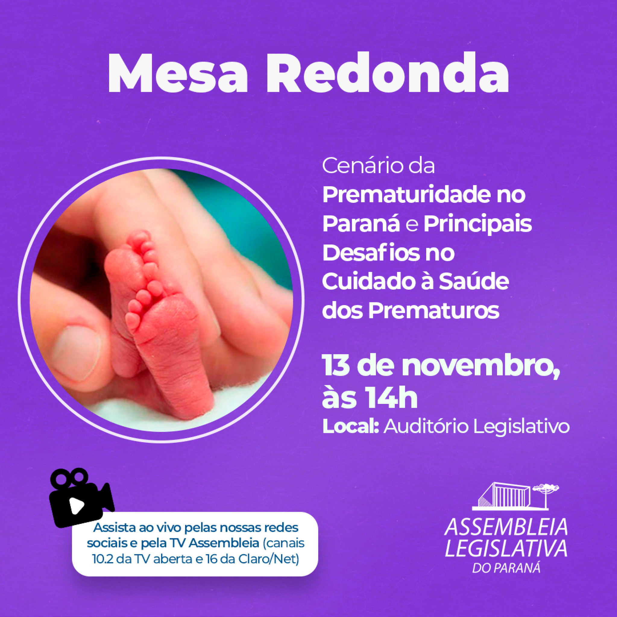 Assembleia debate o “Cenário da Prematuridade no Paraná e Principais Desafios no Cuidado à Saúde dos Prematuros”