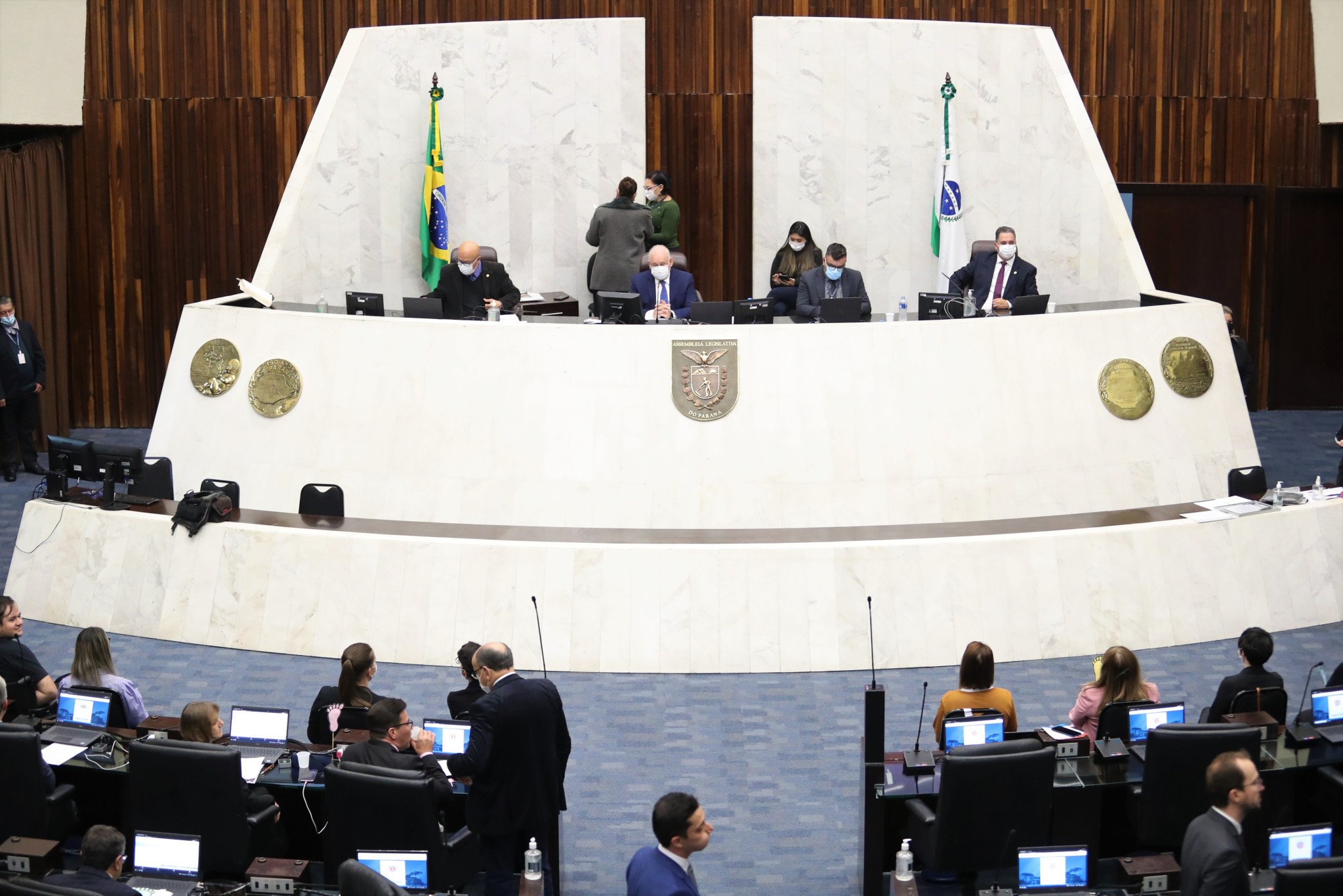 Projeto que cria a Lei de Incentivo à Cultura do Bambu é aprovado em primeiro turno