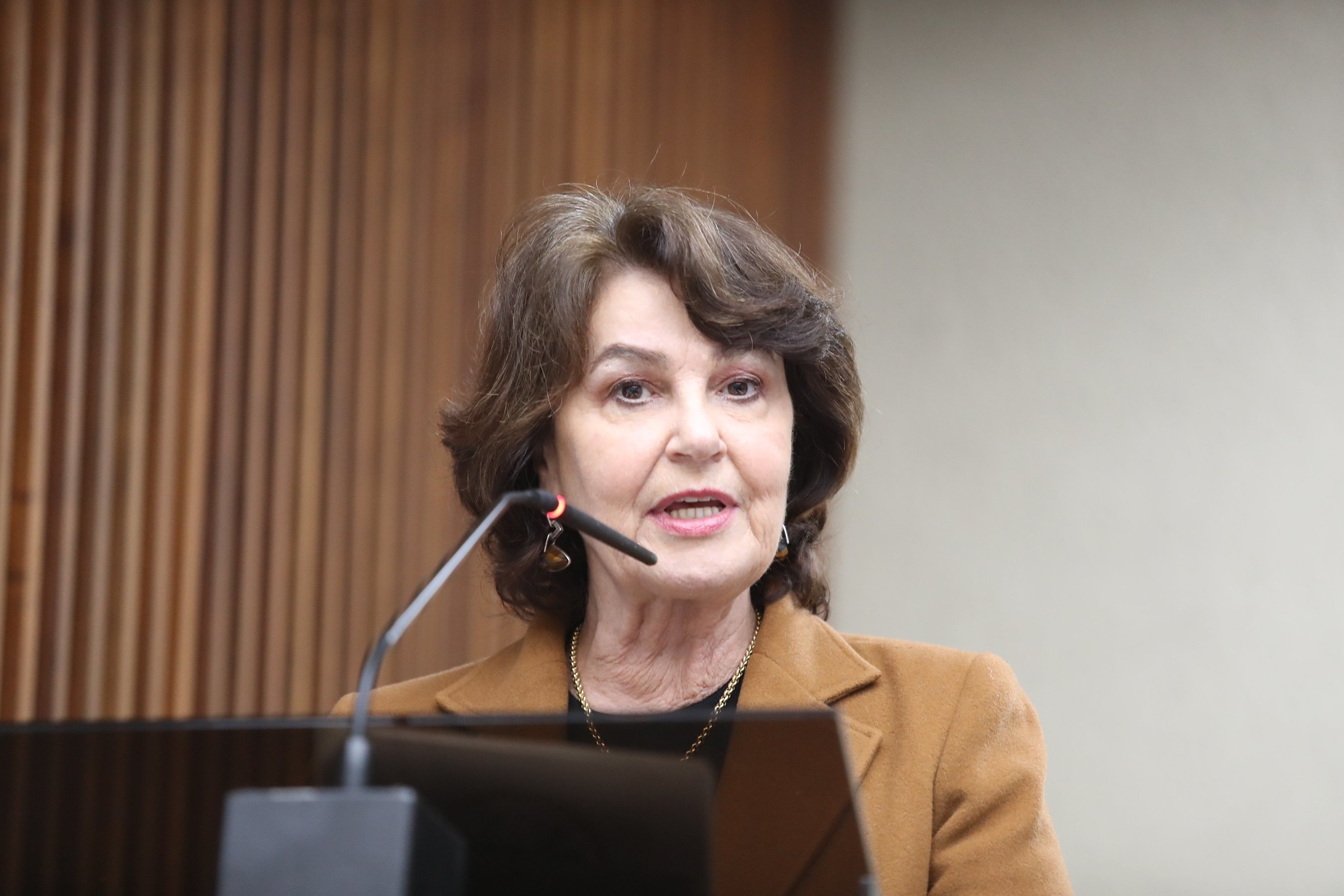 Deputada Cristina Silvestri (PP) propõe destinação de madeira de obras rodoviárias para reconstrução de áreas atingidas por desastres