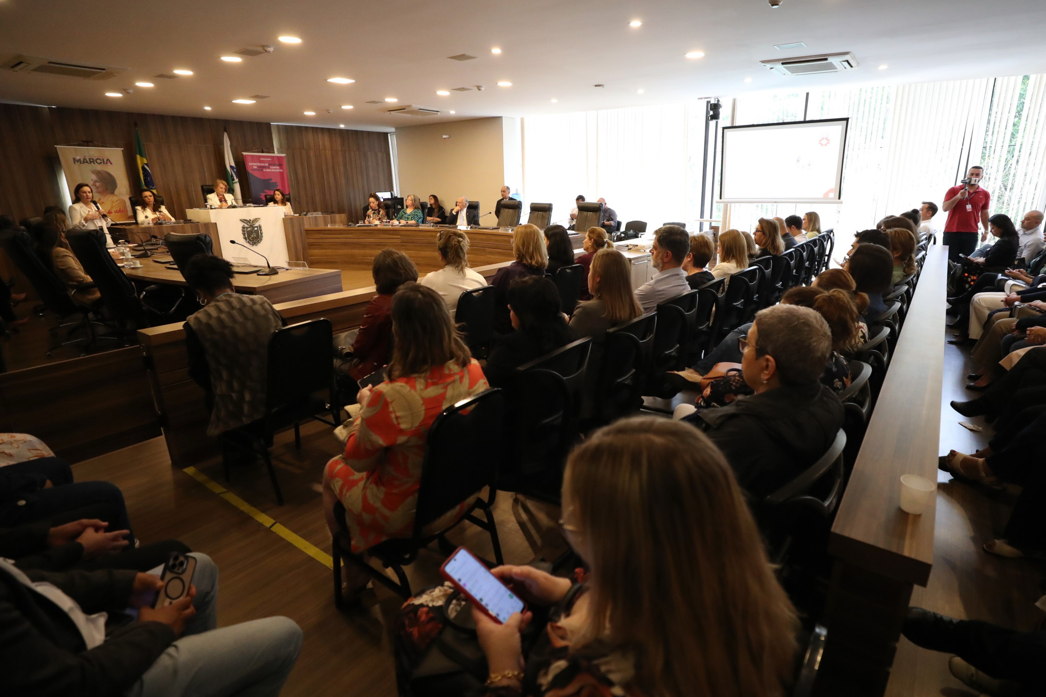 Audiência reforça necessidade de capacitação de profissionais na identificação da violência contra crianças e adolescentes