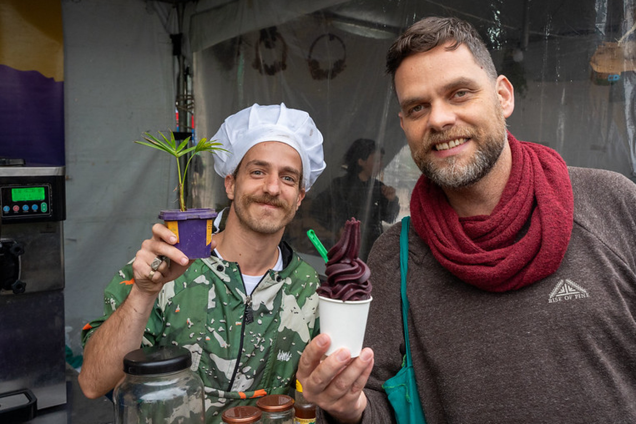 Sancionada a lei que estabelece política pública para a valorização da Palmeira Juçara no Paraná