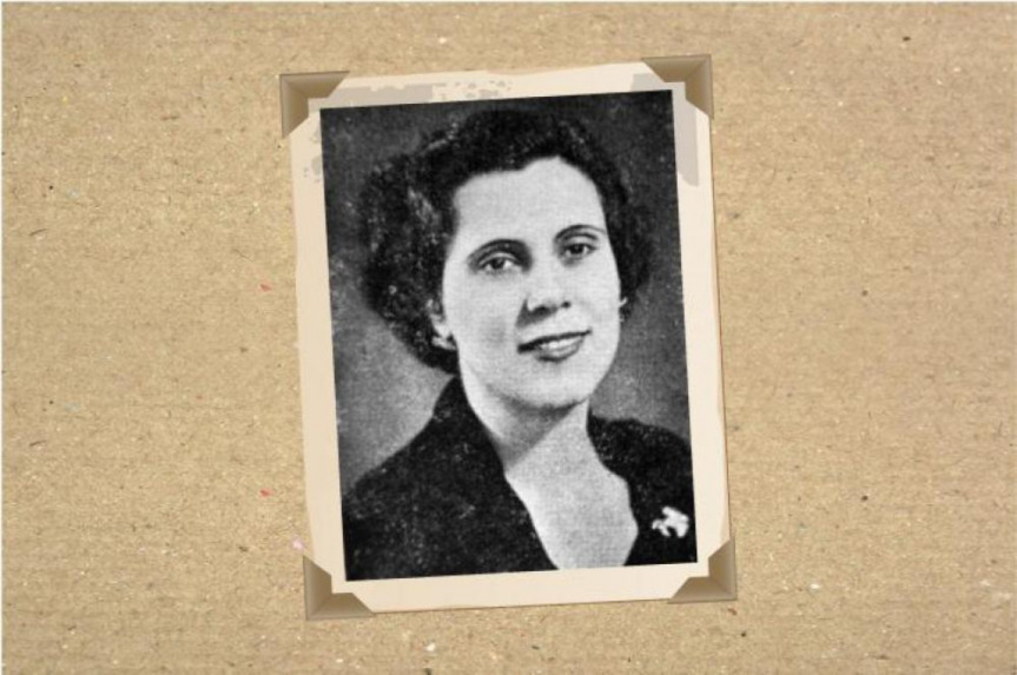 Grande Expediente homenageia o Dia Internacional da Mulher