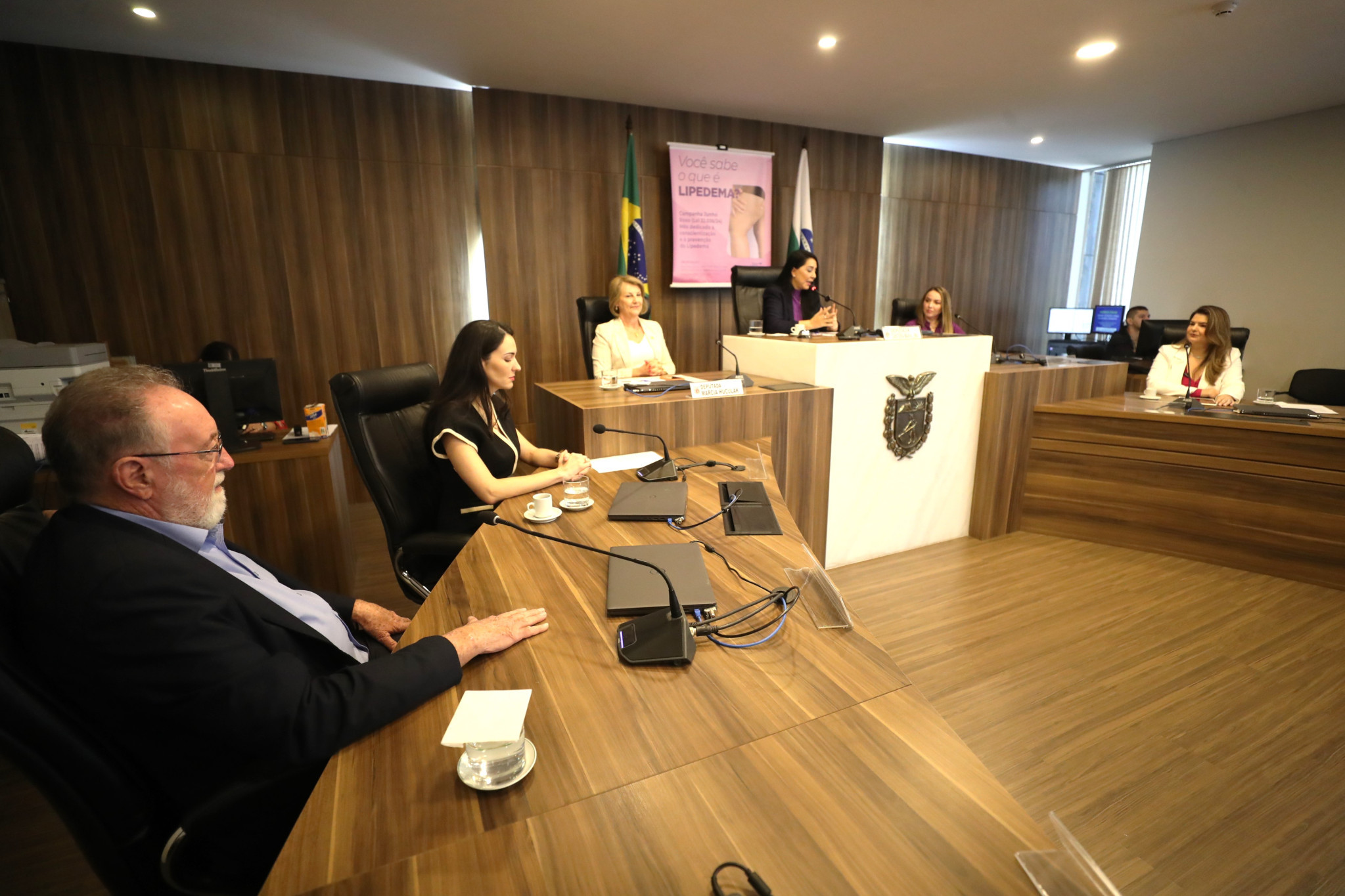 Audiência pública debate os sintomas e tratamentos do Lipedema