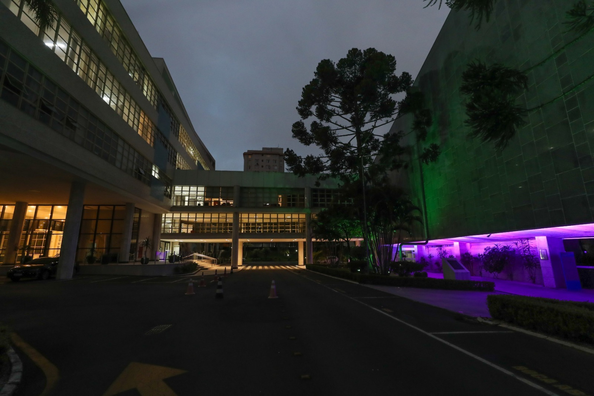 Assembleia Legislativa é iluminada com a cor do Agosto Lilás