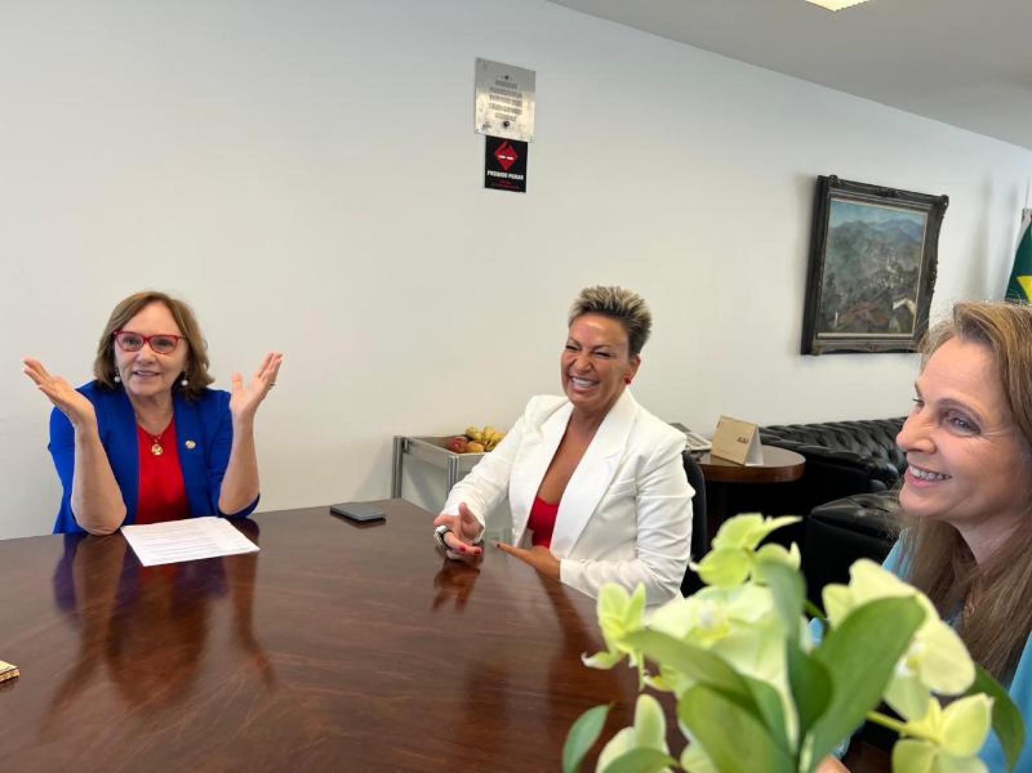 Procuradoria da Mulher do Assembleia é destaque na Câmara dos Deputados, em Brasília