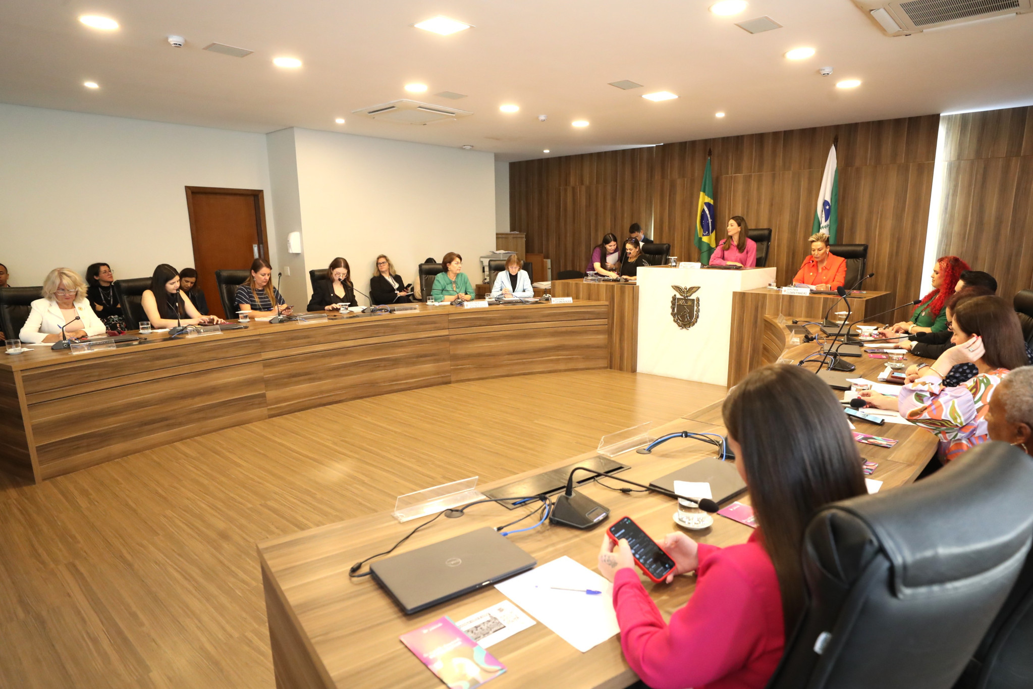 Combate à violência política contra as mulheres é tema de reunião na Assembleia Legislativa