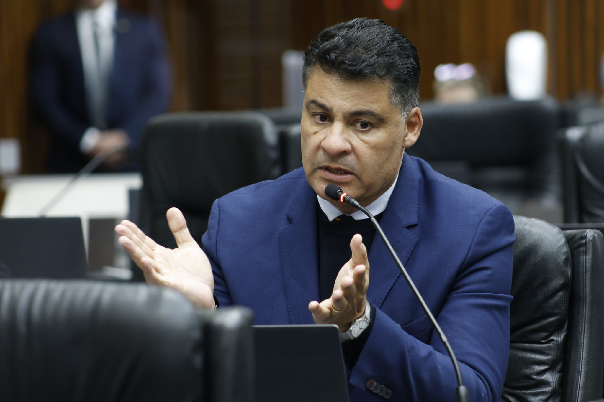 Projeto protocolado na Assembleia propõe educação sobre respeito e proteção aos animais nas escolas do Paraná
