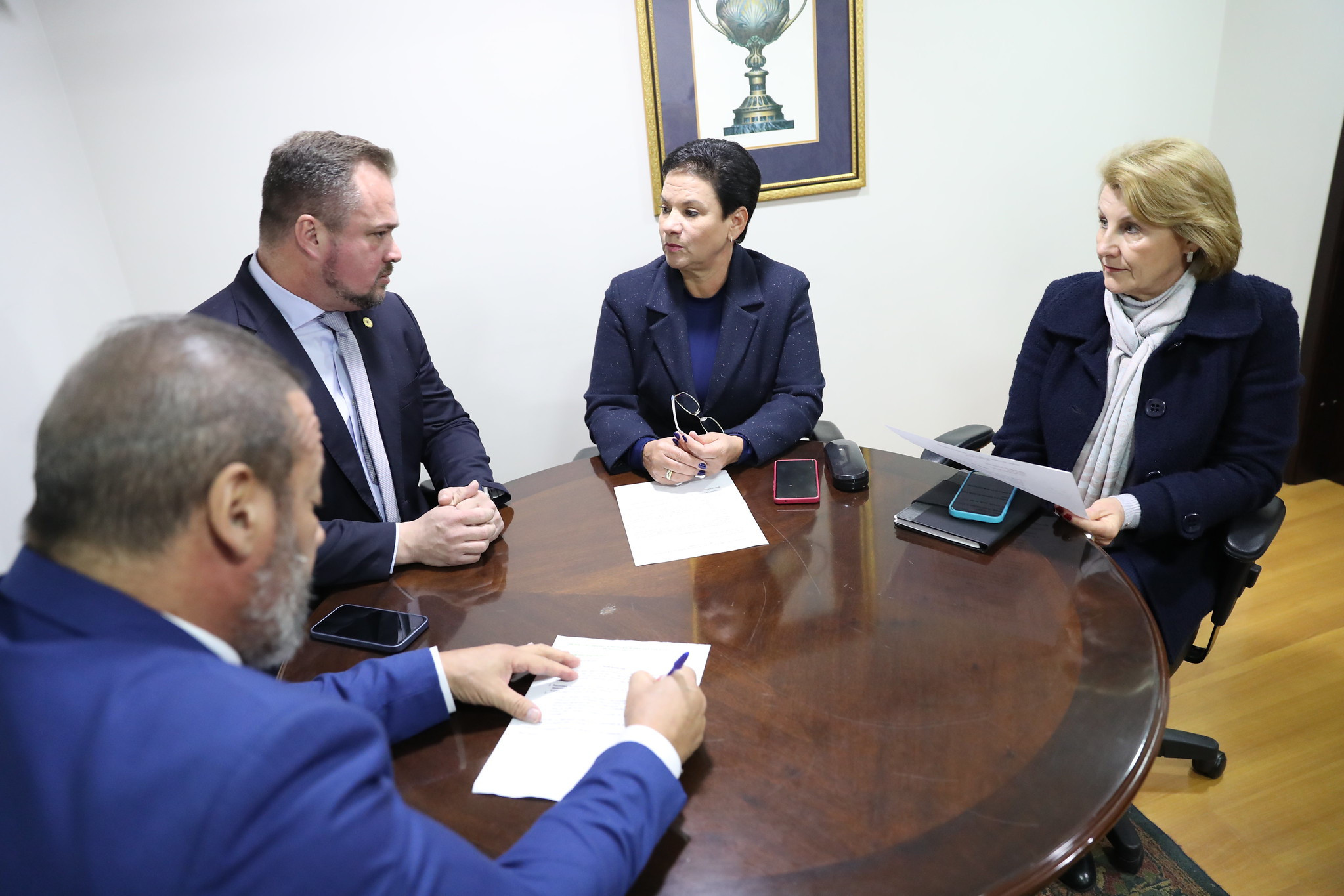 Deputada Marli (SD) preside reunião da Comissão de Relações Federadas e Assuntos Metropolitanos