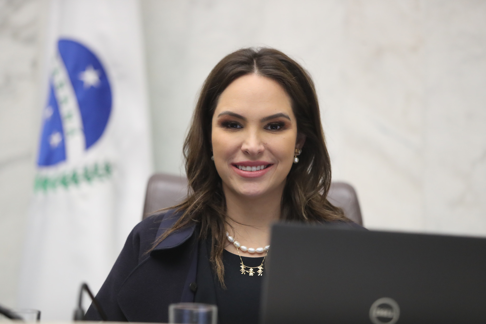 “Projeto de lei coloca Paraná no protagonismo do hidrogênio renovável”, diz deputada Maria Victoria (PP)