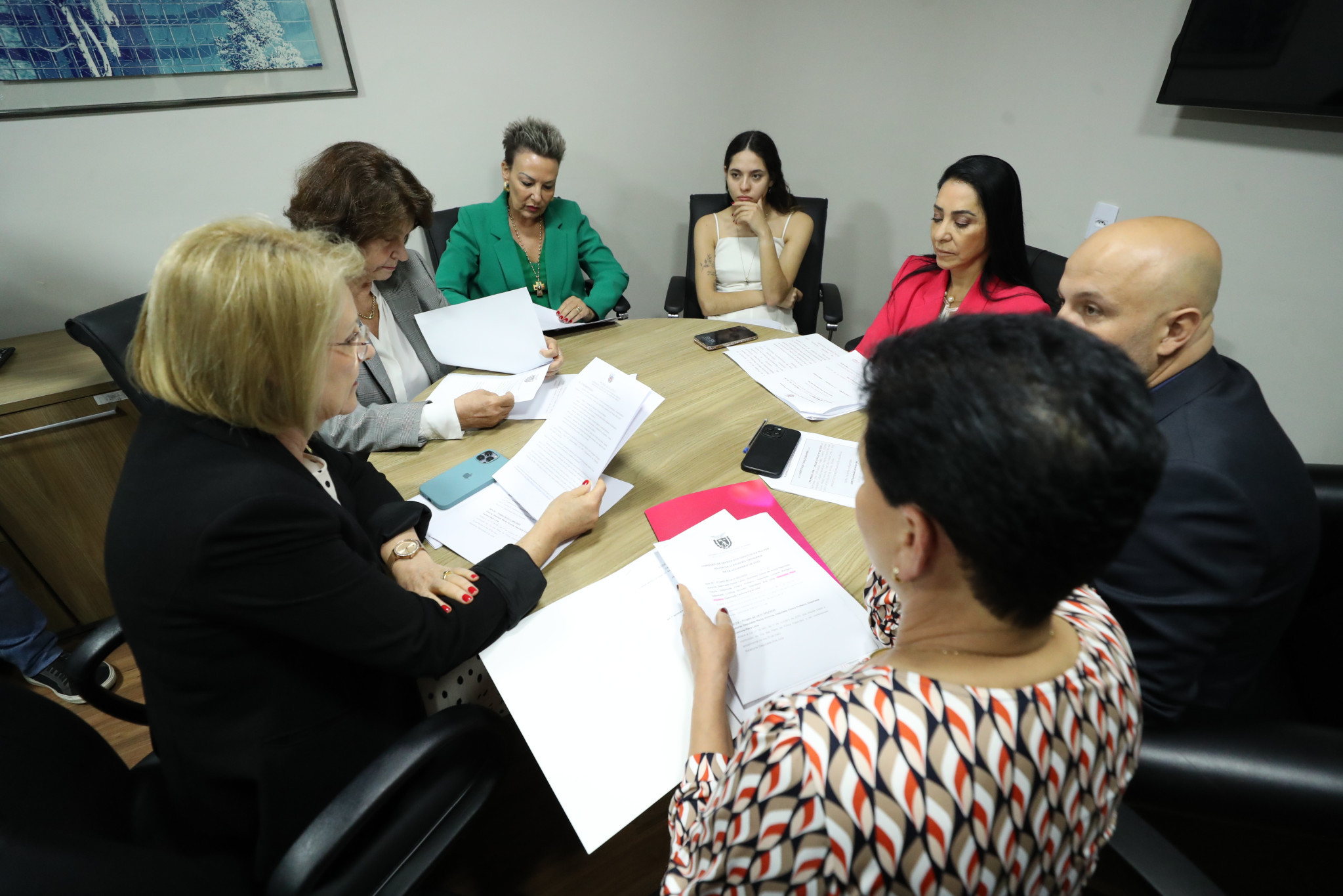 Comissão de Defesa dos Direitos da Mulher aprova dois de quatro projetos durante reunião