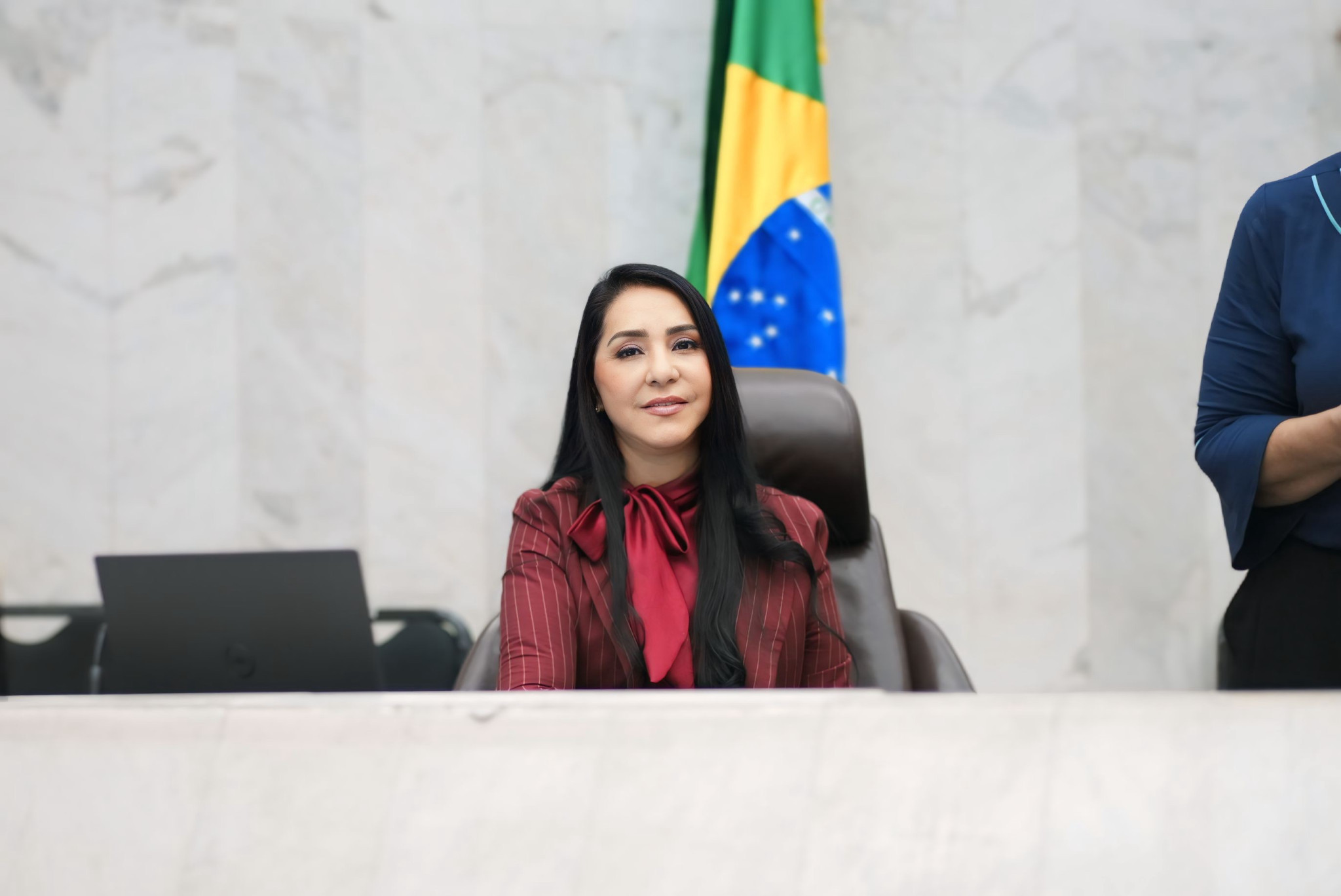 Balanço 2024: Comissão de Defesa dos Direitos da Mulher analisa 12 PLs e movimenta legislativo com Audiências Públicas