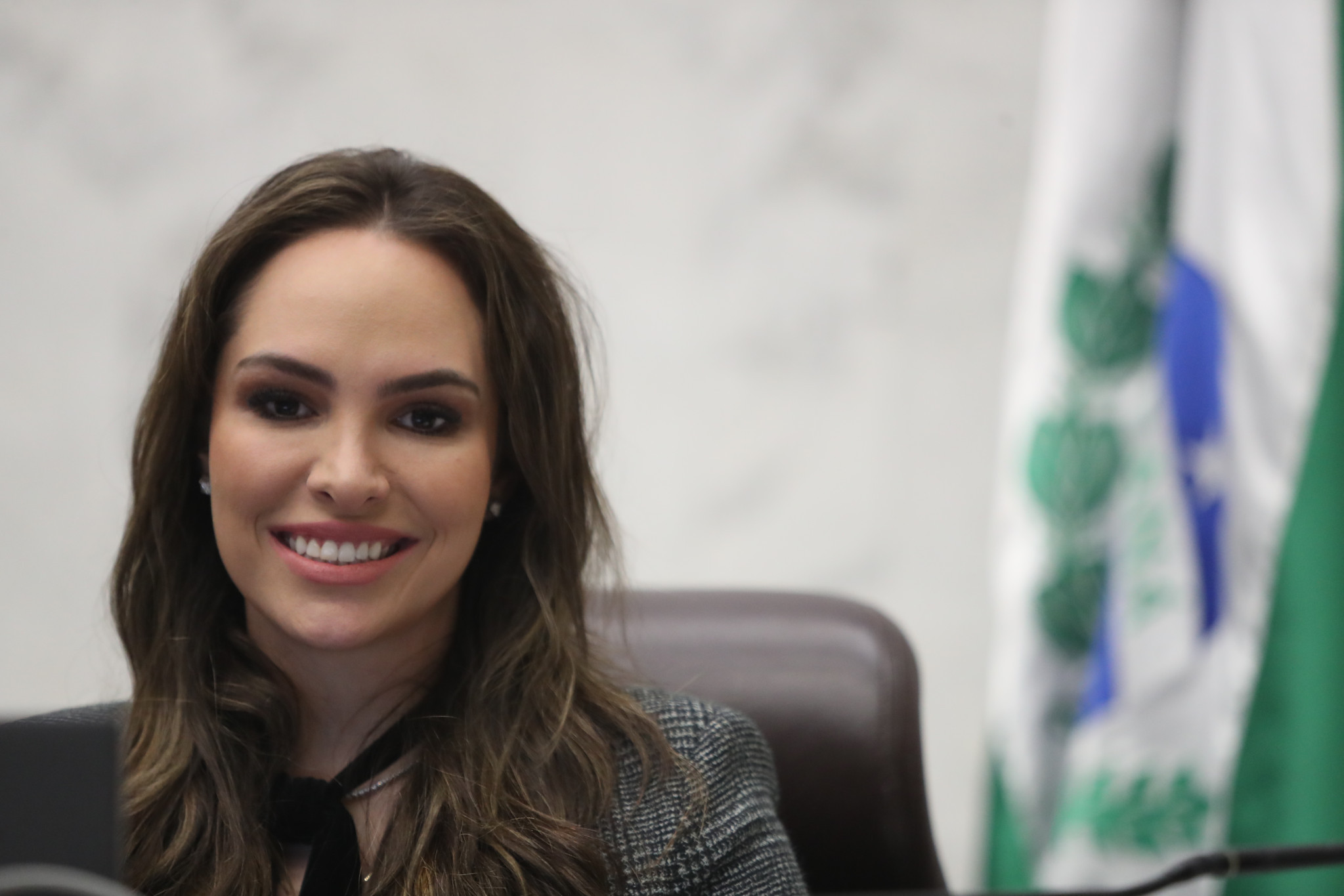 Deputada propõe a criação do Mercado Regulado de Créditos de Carbono no Paraná