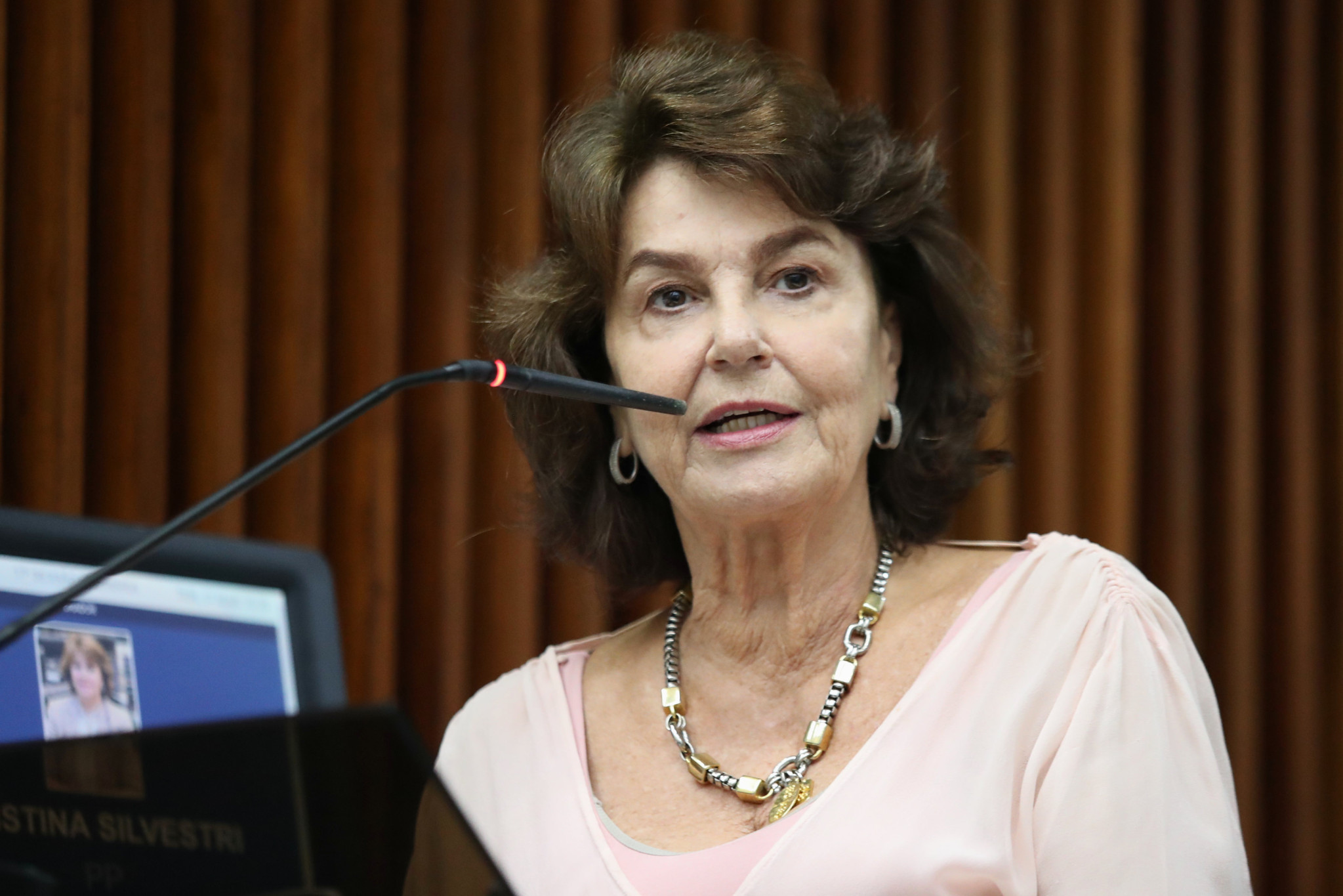 Projeto de lei propõe diretrizes para criação de grupos de apoio a mulheres em situação de violência no Paraná