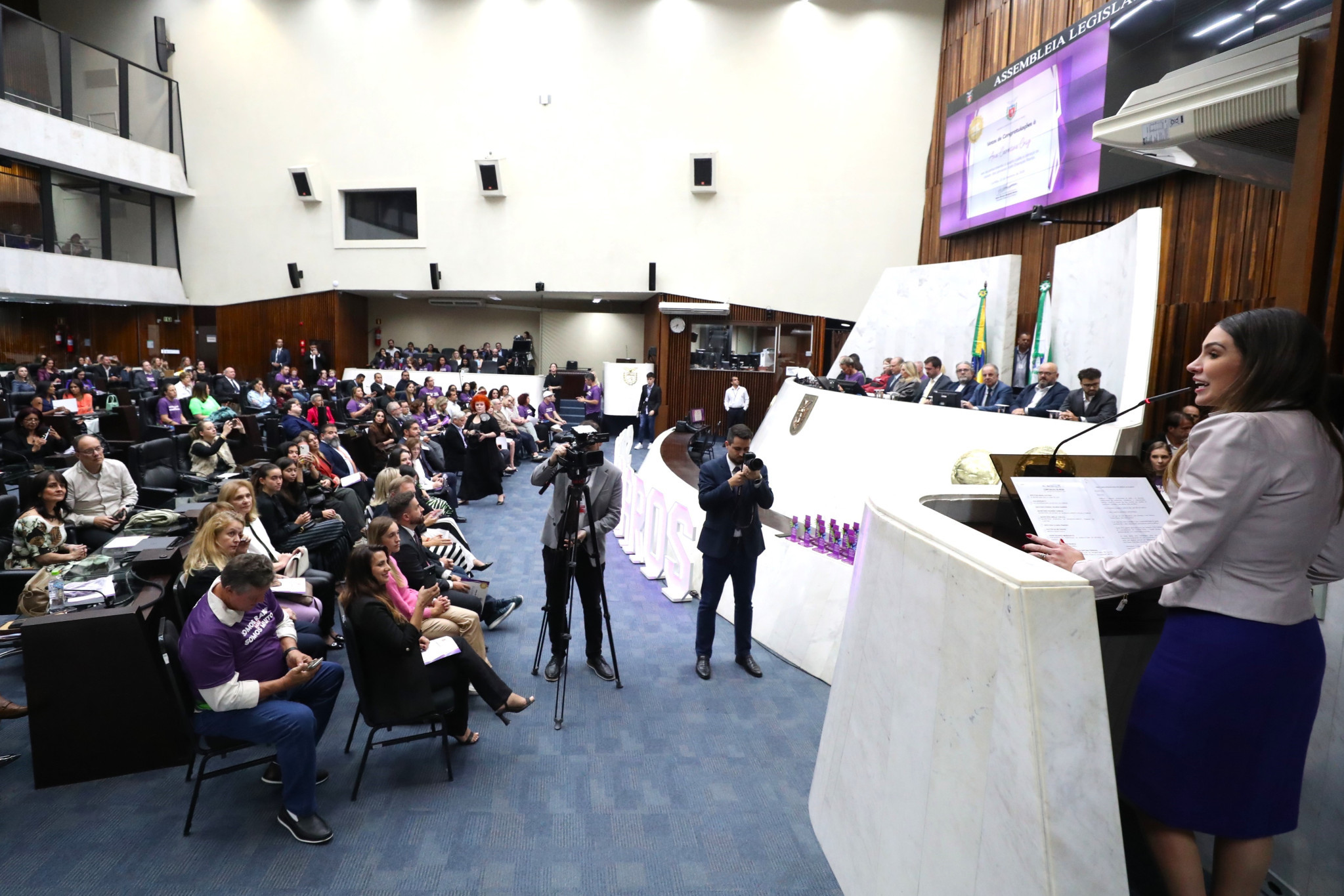 Sessão Solene marca Fevereiro Lilás e reconhece atuação de profissionais e entidades na defesa de direitos de pessoas com doenças raras no Paraná