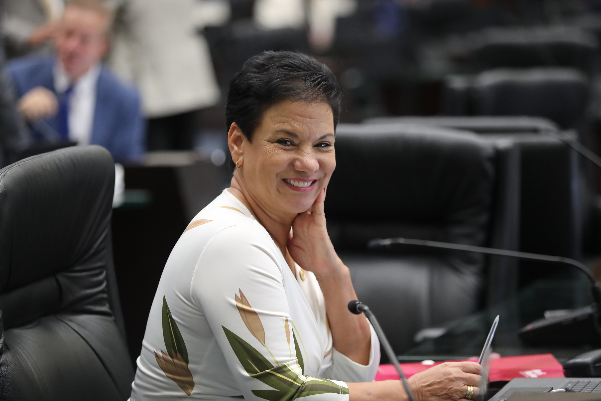 Deputada Marli Paulino (SD) apresenta projeto para criar o acervo cultural Bicho do Paraná