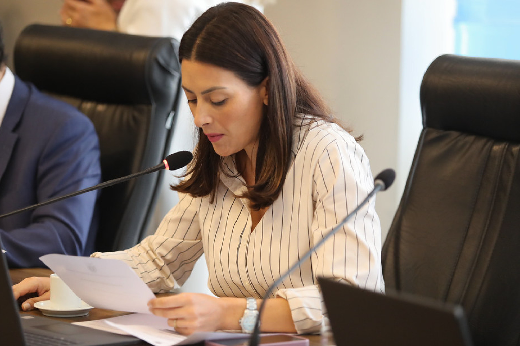 Deputada Mabel Canto (PP) aciona PRF na busca por redução de acidentes na BR-376
