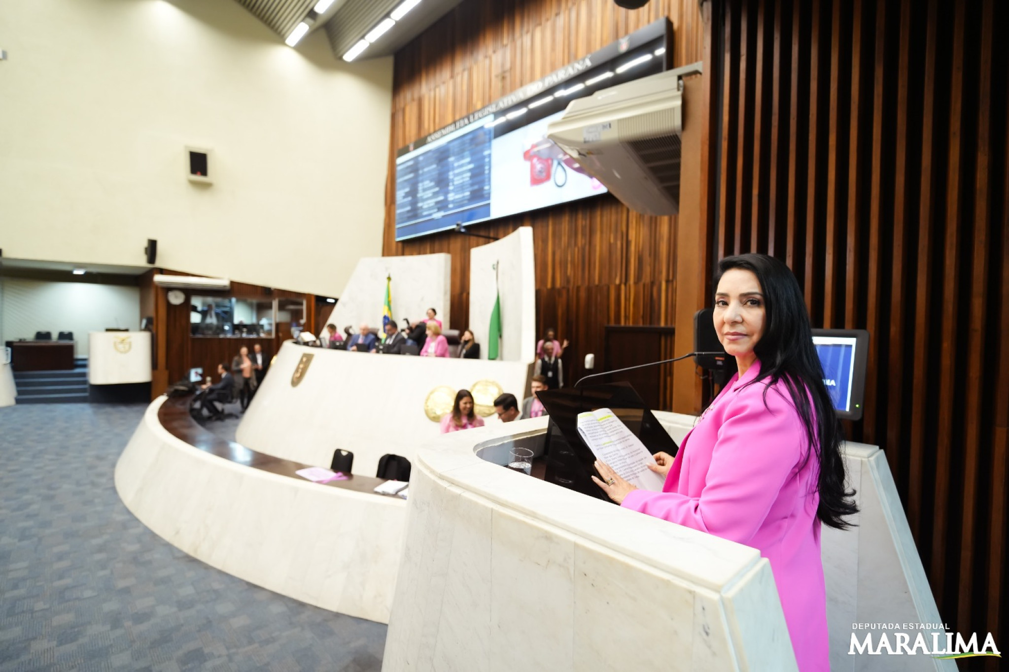 Deputada Cantora Mara Lima (REP) apresenta projeto que institui política de Entrega Legal de recém-nascidos para adoção