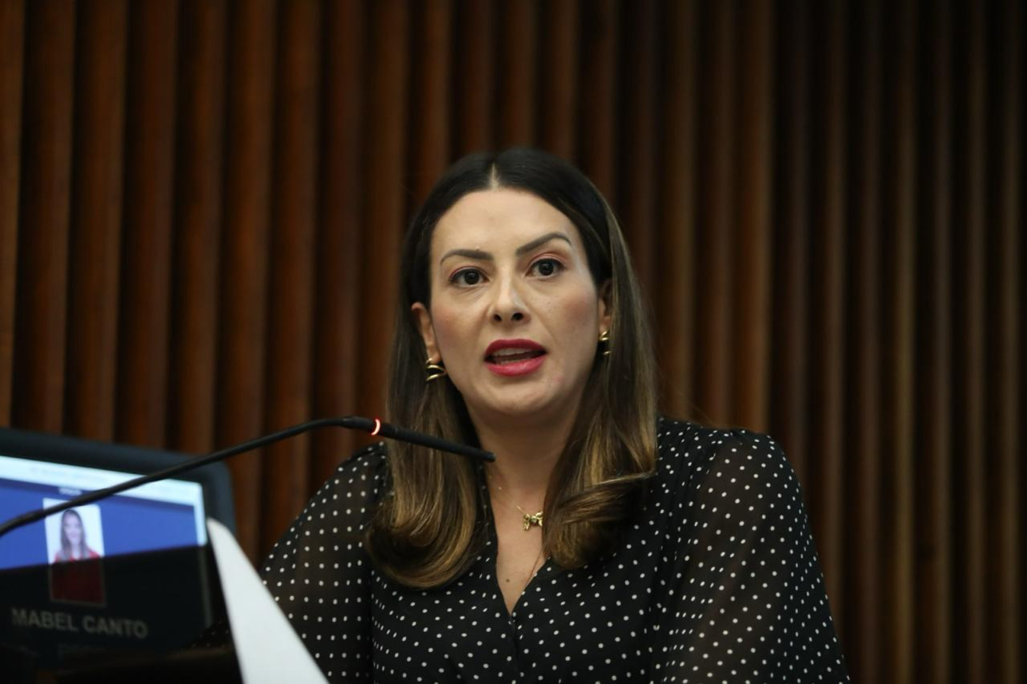Deputada Mabel Canto (PSDB) cobra soluções urgentes na PR-151 após tragédia que vitimou jovens