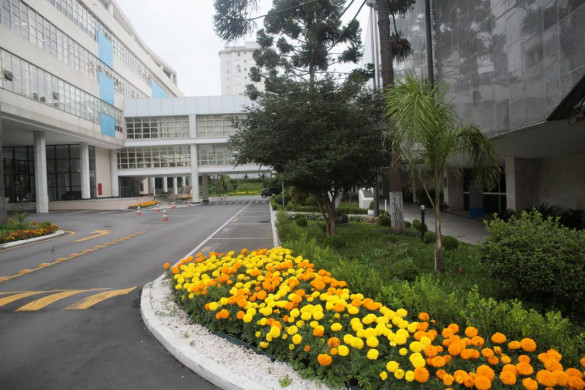 Projeto que trata da velocidade da internet móvel retorna ao Plenário na segunda-feira (28)