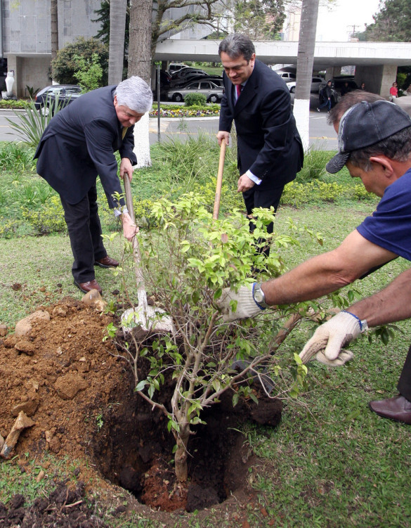 No Dia da Árvore Rossoni defende compensação para municípios que abrigam reservas ecológicas