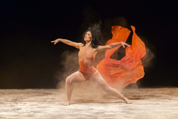 Assembleia celebra o aniversário de 50 anos do Balé Teatro Guaíra