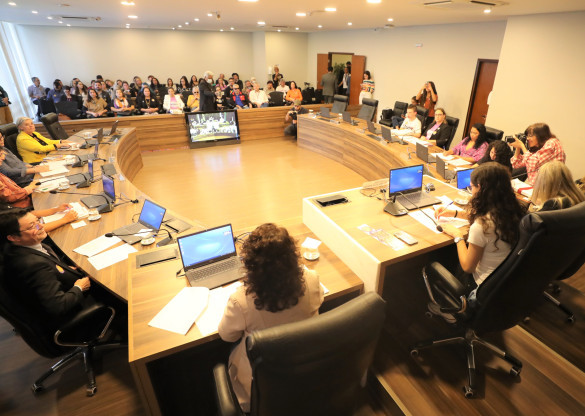 Audiência reforça necessidade de formação continuada para assegurar Atendimento Educacional Especializado no Paraná