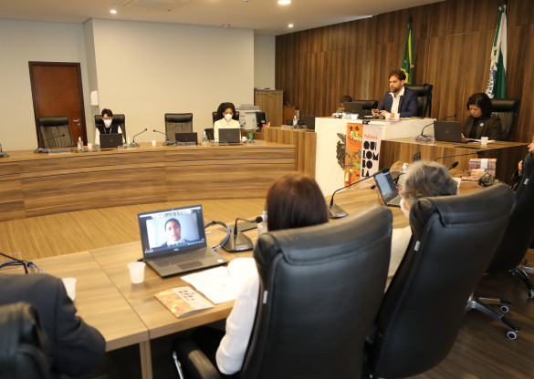 “O Brasil Quilombola resiste e essa é uma luta permanente de todos nós”, afirma deputado Goura, em audiência pública