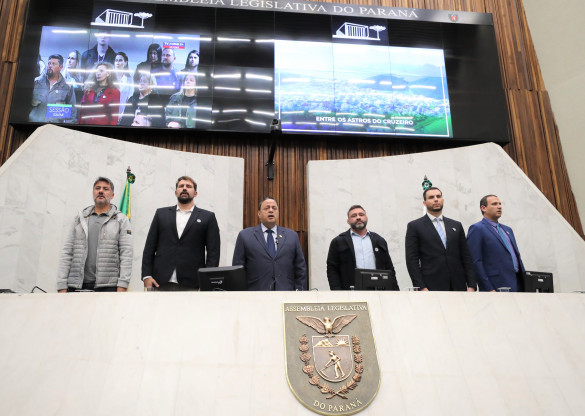 Assembleia Legislativa promove e reconhece valores do jiu-jítsu no Paraná