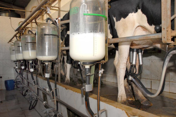 Impactos das novas regras da produção de leite na pauta do Bloco da Agricultura Familiar