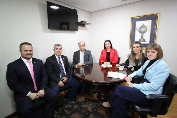 Código do Autismo recebe mais de 300 sugestões da sociedade civil do Paraná