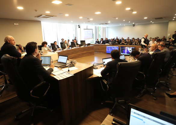 CCJ aprova projetos que modernizam a Funeas e fortalecem políticas para a pessoa idosa