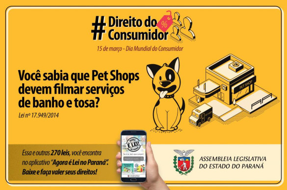 Lei obriga a gravação dos serviços de banho e tosa de cães e gatos
