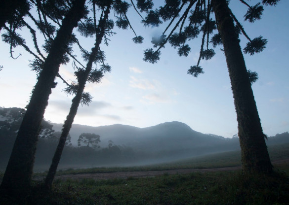 Audiência pública vai debater situação das unidades de conservação da Serra do Mar