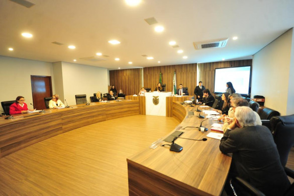 Frente Parlamentar em Defesa da Primeira Infância debate parcerias entre setor público e sociedade organizada