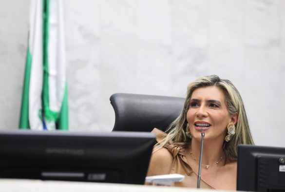 Projeto prevê a criação de Sistema de Blindagem Registral para impedir fraudes em financiamentos e registros de veículos no Paraná