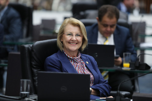Deputada Secretária Márcia Huçulak (PSD) destaca trabalho intenso da Assembleia e comemora emendas para filantrópicas