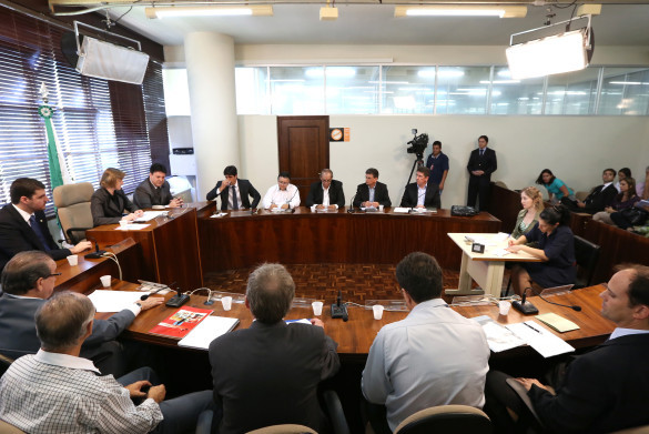 Deputados buscam alternativas para minimizar a crise no setor avícola
